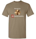 Poverty Is Not Racial Sensitive T-Shirt