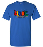 Living my Principal Life T-Shirt bundle w mask